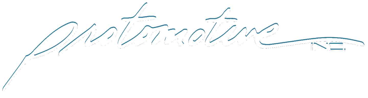 Protomotive inc Logo.